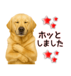 ラブラドールレトリバー★気遣いと感謝♡（個別スタンプ：14）