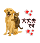 ラブラドールレトリバー★気遣いと感謝♡（個別スタンプ：27）