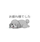 仕事で使いやすい敬語のトイプードル（個別スタンプ：2）