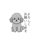 仕事で使いやすい敬語のトイプードル（個別スタンプ：7）