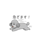 仕事で使いやすい敬語のトイプードル（個別スタンプ：9）