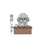 仕事で使いやすい敬語のトイプードル（個別スタンプ：11）