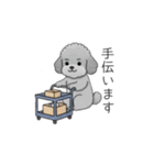 仕事で使いやすい敬語のトイプードル（個別スタンプ：13）