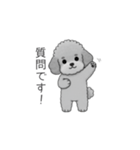 仕事で使いやすい敬語のトイプードル（個別スタンプ：15）