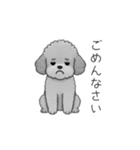 仕事で使いやすい敬語のトイプードル（個別スタンプ：17）