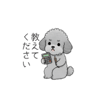 仕事で使いやすい敬語のトイプードル（個別スタンプ：18）