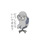 仕事で使いやすい敬語のトイプードル（個別スタンプ：19）