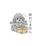 仕事で使いやすい敬語のトイプードル（個別スタンプ：24）