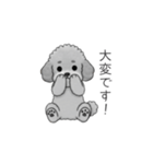 仕事で使いやすい敬語のトイプードル（個別スタンプ：26）