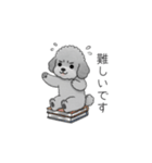 仕事で使いやすい敬語のトイプードル（個別スタンプ：29）