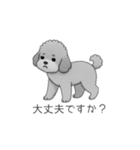 仕事で使いやすい敬語のトイプードル（個別スタンプ：32）