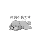 仕事で使いやすい敬語のトイプードル（個別スタンプ：36）