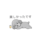 仕事で使いやすい敬語のトイプードル（個別スタンプ：40）