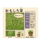 ⚫架空の草図鑑で日常会話（ダジャレ/ウケる（個別スタンプ：2）