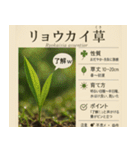 ⚫架空の草図鑑で日常会話（ダジャレ/ウケる（個別スタンプ：7）