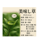 ⚫架空の草図鑑で日常会話（ダジャレ/ウケる（個別スタンプ：11）