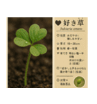 ⚫架空の草図鑑で日常会話（ダジャレ/ウケる（個別スタンプ：16）