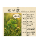 ⚫架空の草図鑑で日常会話（ダジャレ/ウケる（個別スタンプ：19）