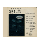 ⚫架空の草図鑑で日常会話（ダジャレ/ウケる（個別スタンプ：21）