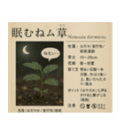 ⚫架空の草図鑑で日常会話（ダジャレ/ウケる（個別スタンプ：22）