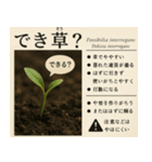 ⚫架空の草図鑑で日常会話（ダジャレ/ウケる（個別スタンプ：23）