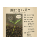 ⚫架空の草図鑑で日常会話（ダジャレ/ウケる（個別スタンプ：25）