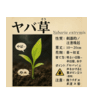 ⚫架空の草図鑑で日常会話（ダジャレ/ウケる（個別スタンプ：29）