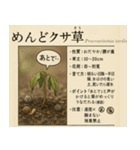 ⚫架空の草図鑑で日常会話（ダジャレ/ウケる（個別スタンプ：31）