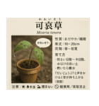 ⚫架空の草図鑑で日常会話（ダジャレ/ウケる（個別スタンプ：33）