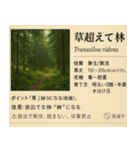 ⚫架空の草図鑑で日常会話（ダジャレ/ウケる（個別スタンプ：36）