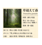 ⚫架空の草図鑑で日常会話（ダジャレ/ウケる（個別スタンプ：38）