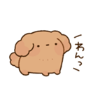 もっちりプードル2（個別スタンプ：1）