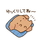 もっちりプードル2（個別スタンプ：4）