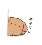 もっちりプードル2（個別スタンプ：10）