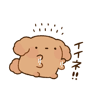 もっちりプードル2（個別スタンプ：14）