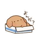 もっちりプードル2（個別スタンプ：17）