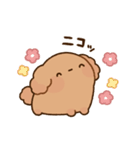 もっちりプードル2（個別スタンプ：22）