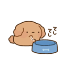 もっちりプードル2（個別スタンプ：31）