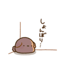 もっちりプードル2（個別スタンプ：33）