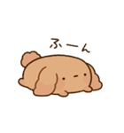 もっちりプードル2（個別スタンプ：38）