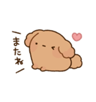 もっちりプードル2（個別スタンプ：40）