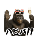 ゴリラのお誕生日＆ポジティブ（個別スタンプ：2）