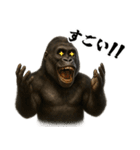 ゴリラのお誕生日＆ポジティブ（個別スタンプ：13）