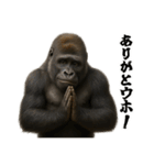 ゴリラのお誕生日＆ポジティブ（個別スタンプ：20）