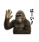 ゴリラのお誕生日＆ポジティブ（個別スタンプ：23）