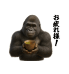 ゴリラのお誕生日＆ポジティブ（個別スタンプ：24）