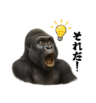 ゴリラのお誕生日＆ポジティブ（個別スタンプ：33）