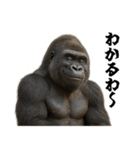 ゴリラのお誕生日＆ポジティブ（個別スタンプ：37）