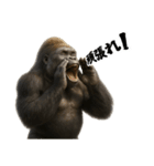 ゴリラのお誕生日＆ポジティブ（個別スタンプ：38）