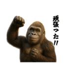ゴリラのお誕生日＆ポジティブ（個別スタンプ：39）
